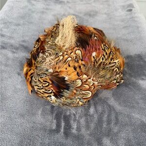 Vintage Melinda Ladies Pheasant Feather Cocktail Tea Hat in Warm Brown & Orange